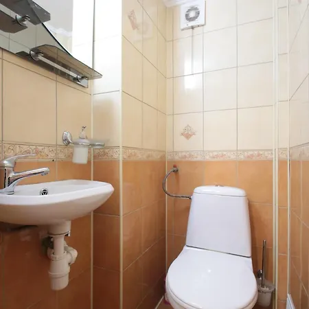 Deluxe S 6-8 Apartment Lviv