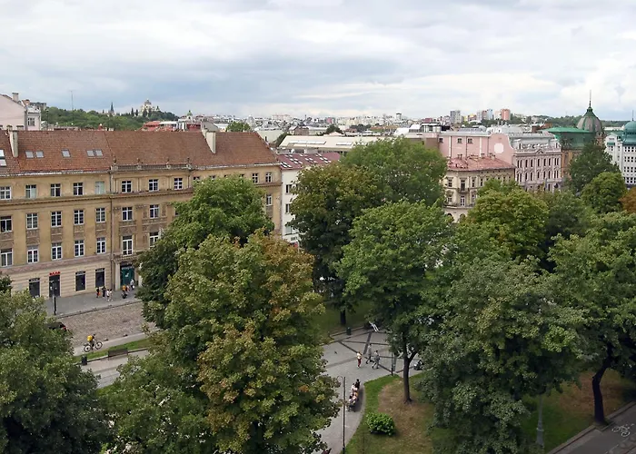 Deluxe S 6-8 利沃夫